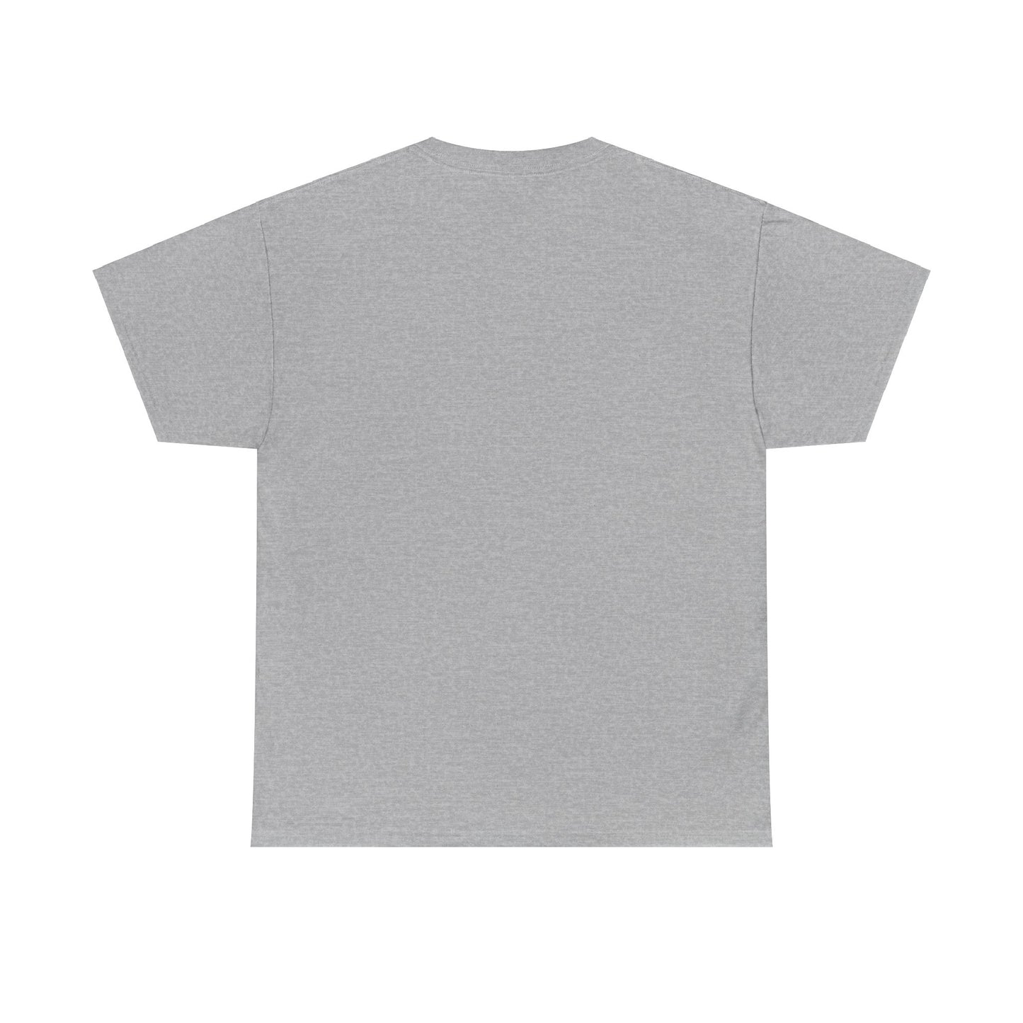 Houston Unisex Heavy Cotton Tee