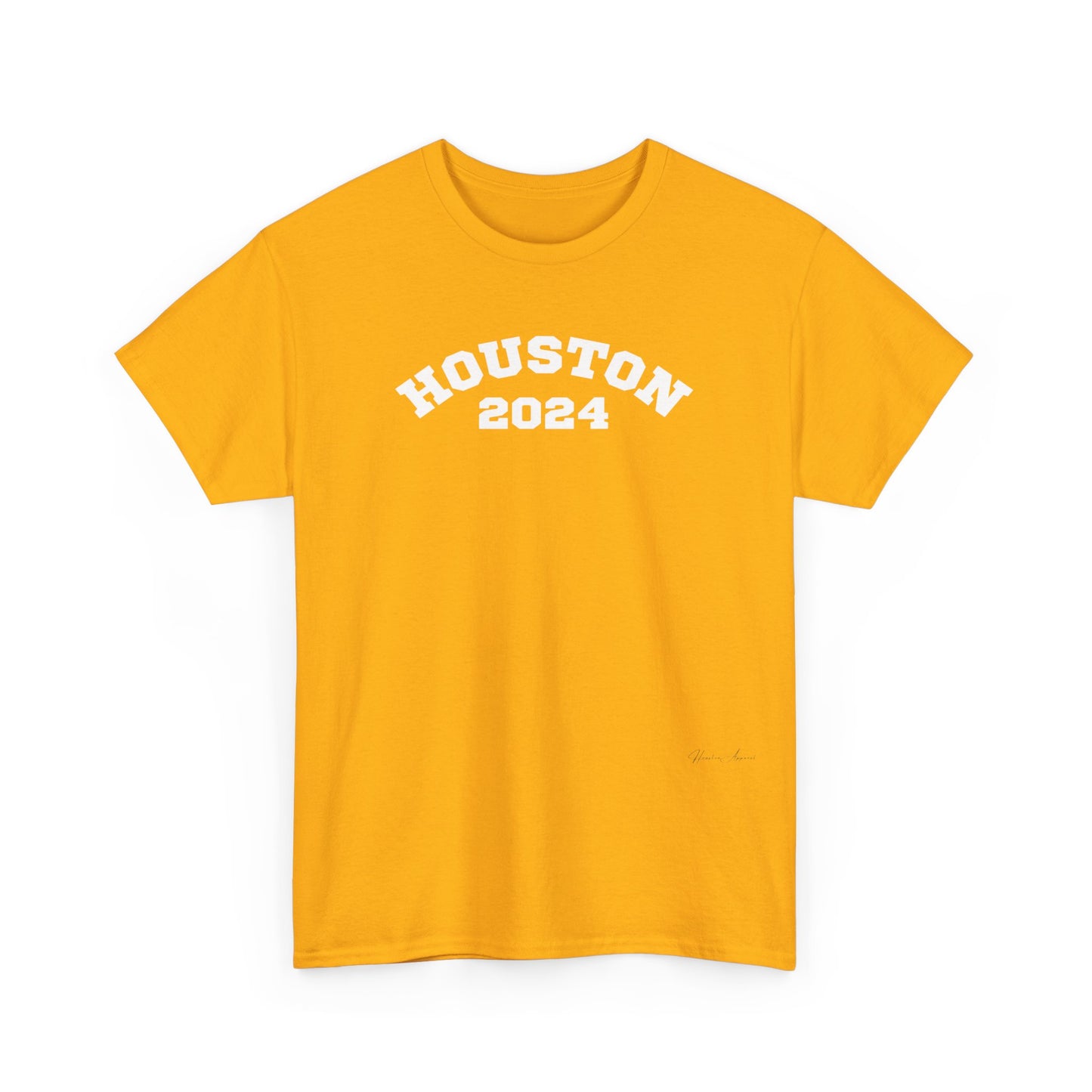 Houston Unisex Heavy Cotton Tee