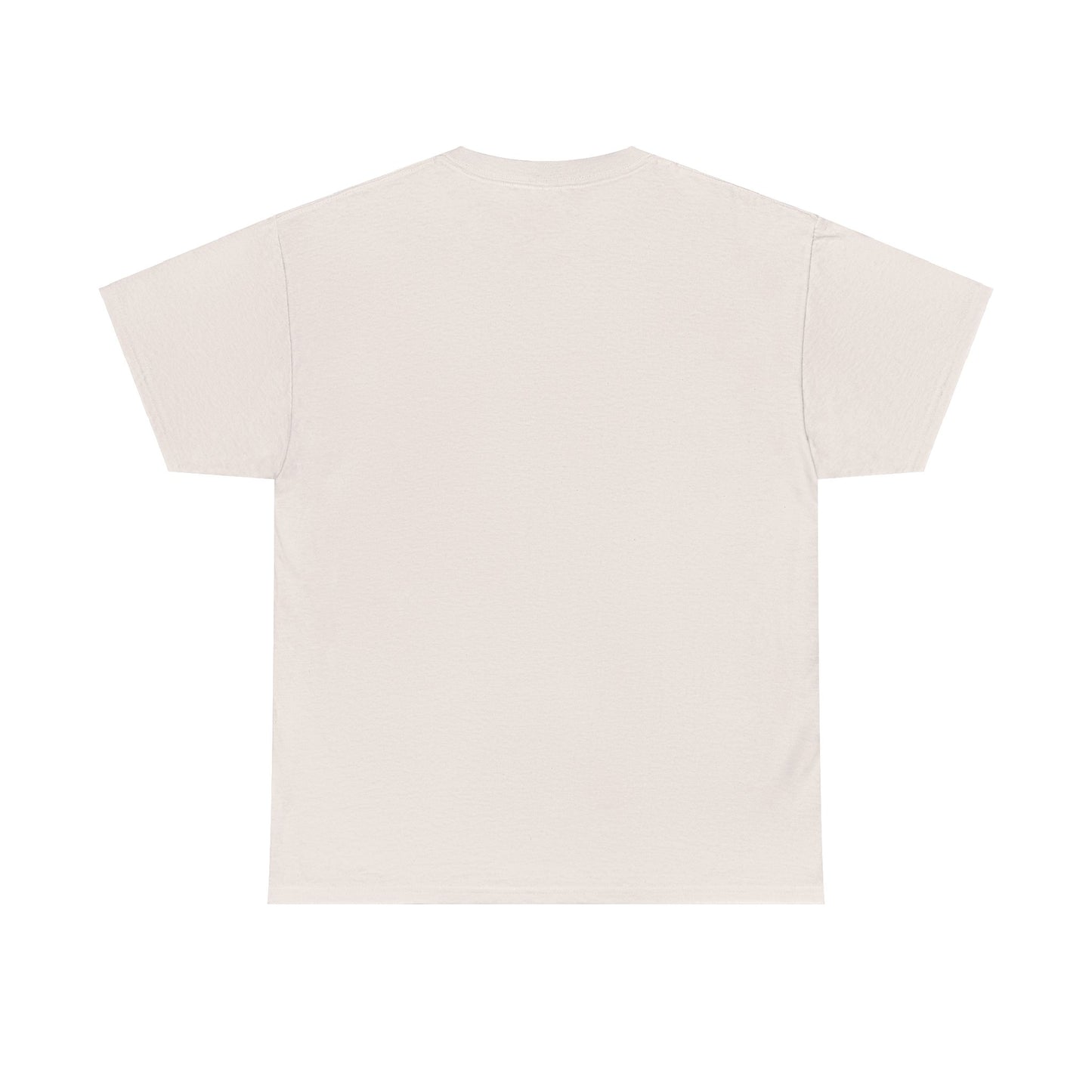 Houston Unisex Heavy Cotton Tee