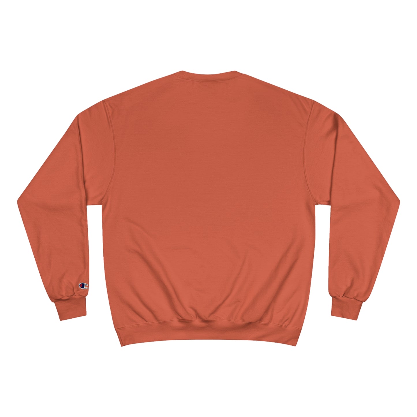 Houston Apparel Champion Sweatshirt