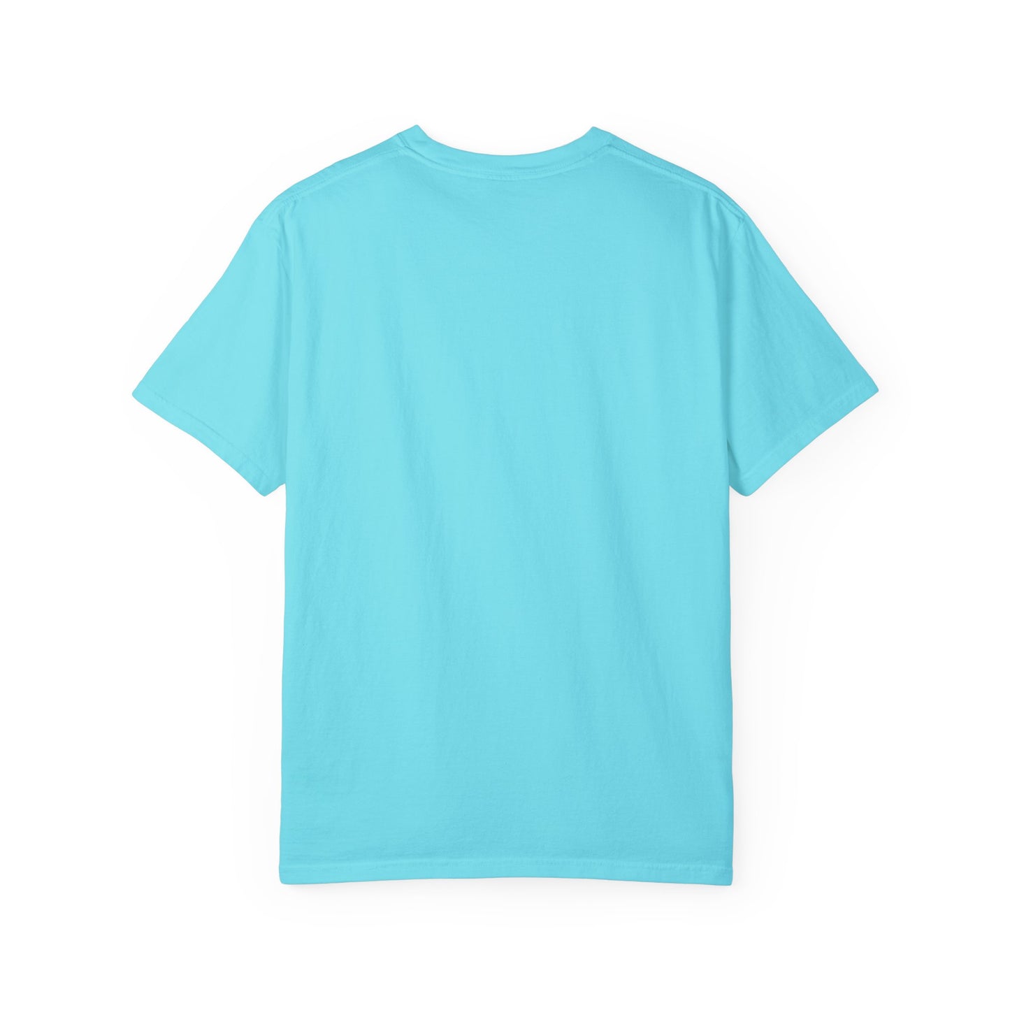 HVE Unisex Garment-Dyed T-shirt