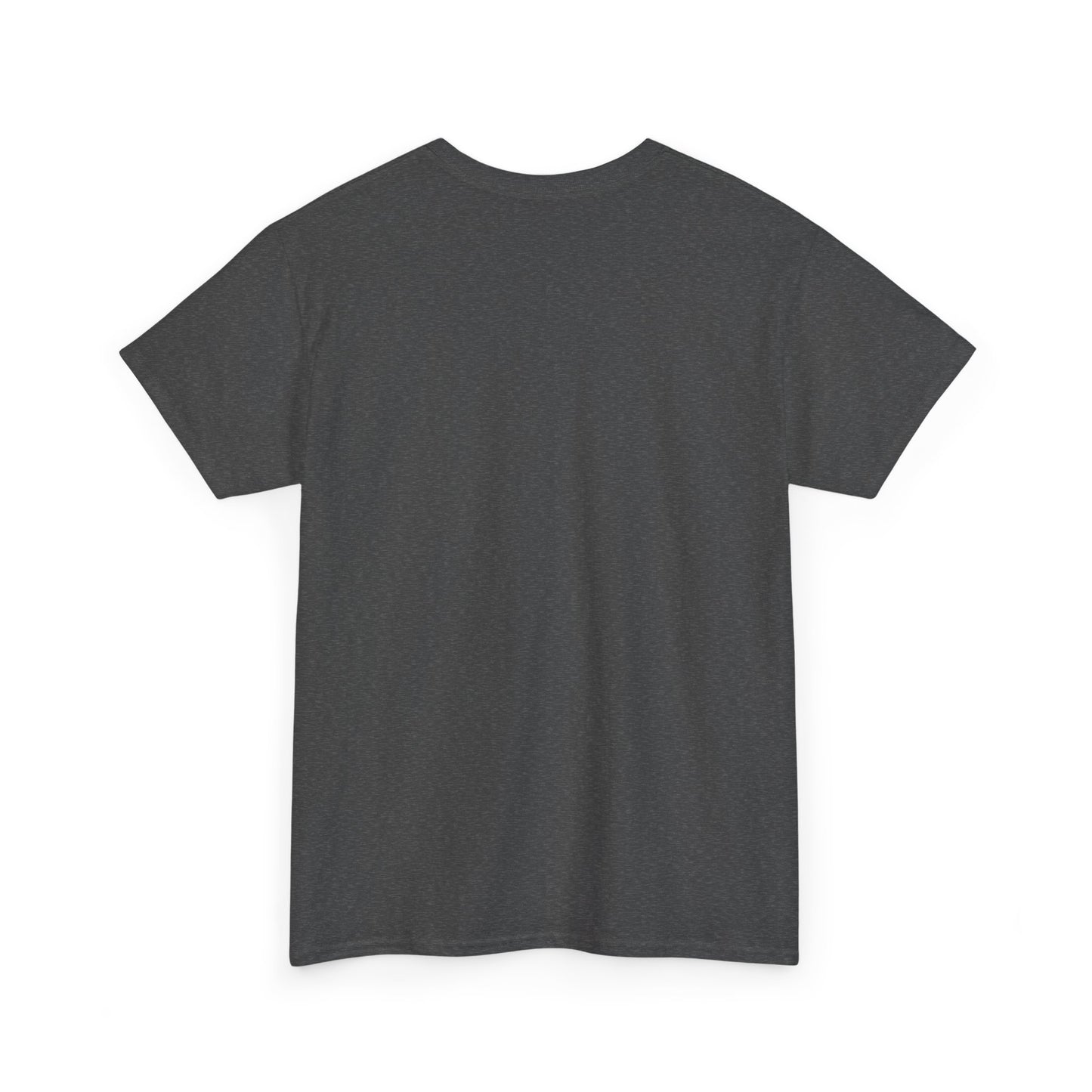 Houston Unisex Heavy Cotton Tee